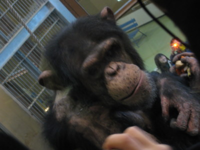 f:id:jun-731-kwgc:20090309132538j:image