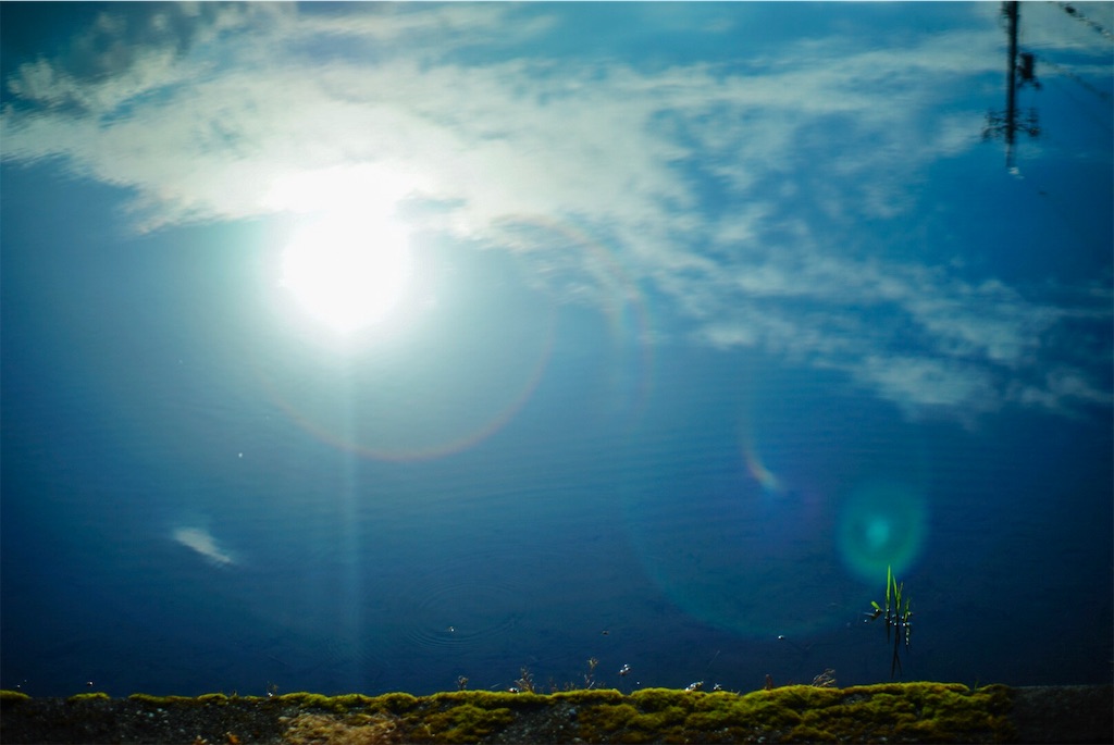 f:id:jun-araya:20190510150251j:image