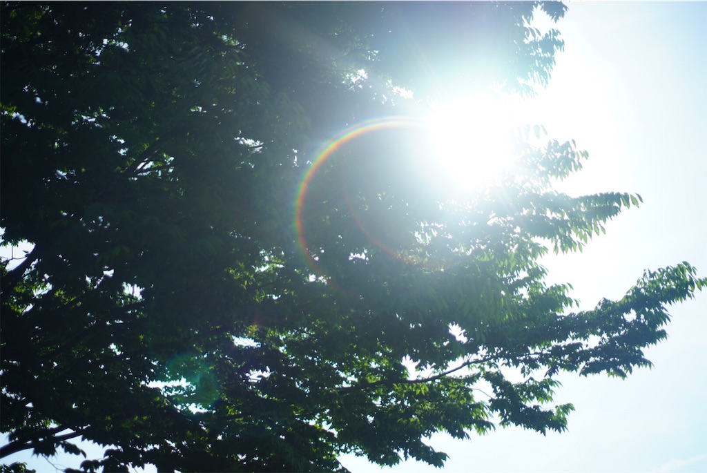 f:id:jun-araya:20190607145002j:image