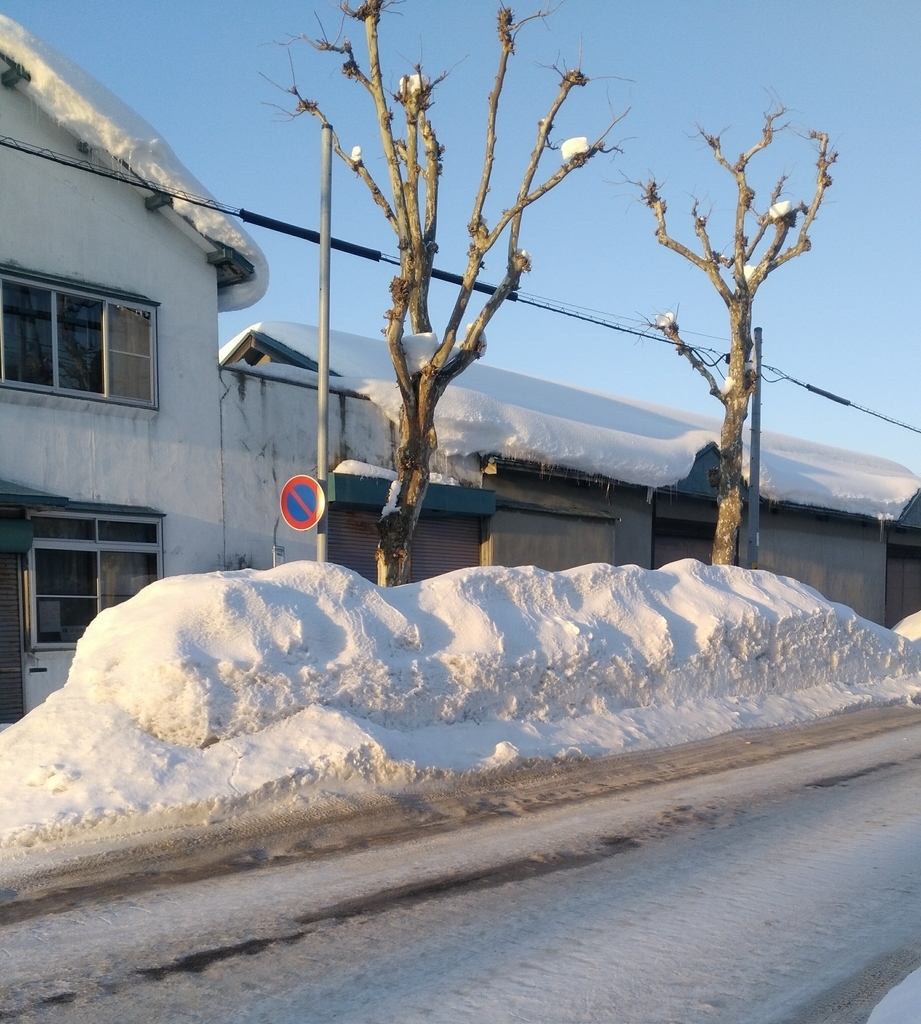 北海道の冬の寒さ マイナス１０ の世界 Junのうつライフ