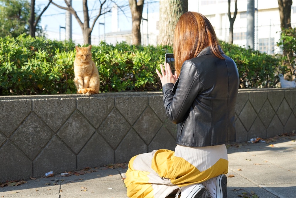 f:id:jun-january2840:20180319093626j:image