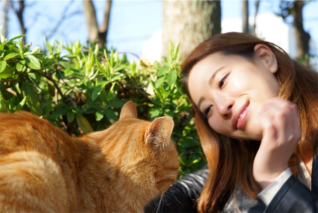 f:id:jun-january2840:20180319093650j:image