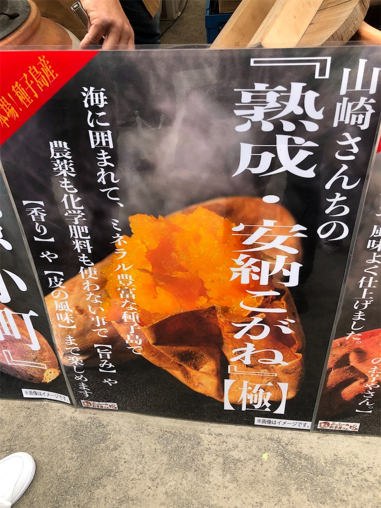 f:id:jun-jun001:20230314122449j:image
