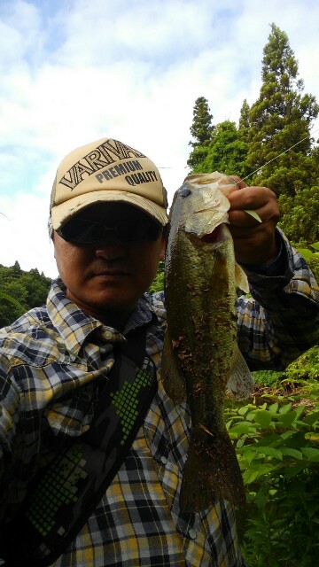 f:id:jun-oyabe:20170618160010j:image
