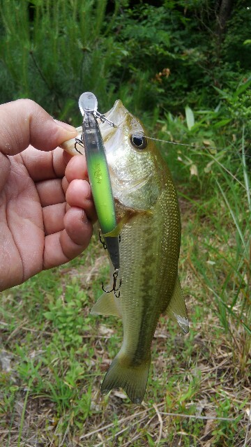 f:id:jun-oyabe:20170618160253j:image