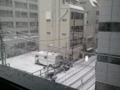 【2013/1/14】　今年初雪景色