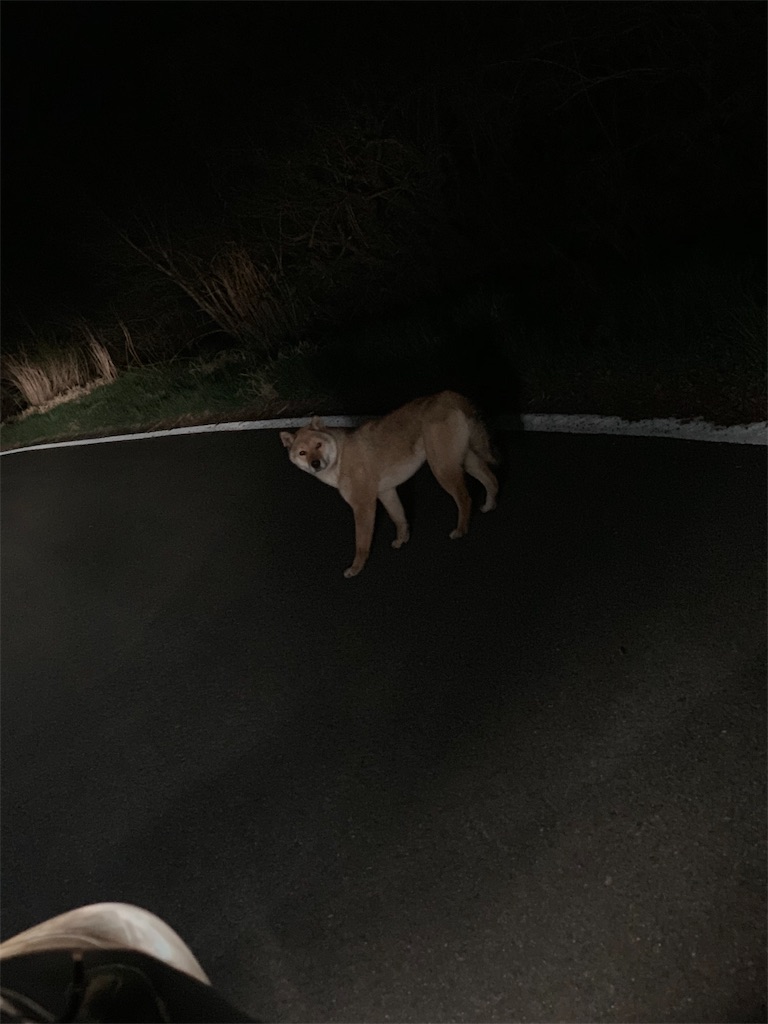 f:id:jun326:20190421195550j:image