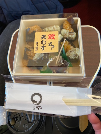 近鉄特急 火の鳥】プレミアムシートに乗ってみた⭐️失敗しないで