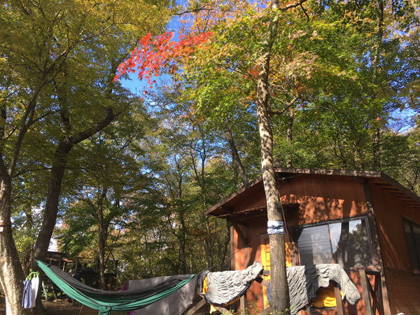 キャンプ場の朝