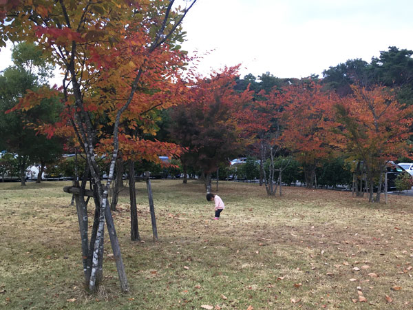 公園