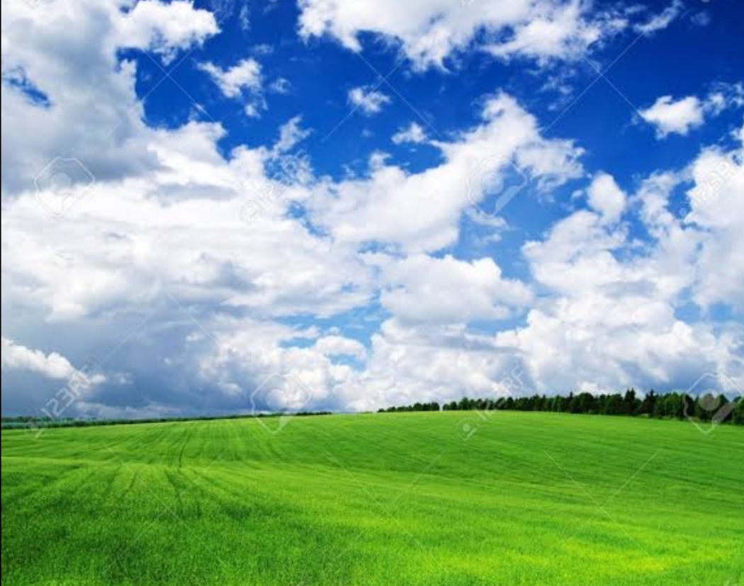 f:id:jun_rozariodeuvas:20200105123542j:plain f:id:jun_rozariodeuvas:20200105123542j:plain