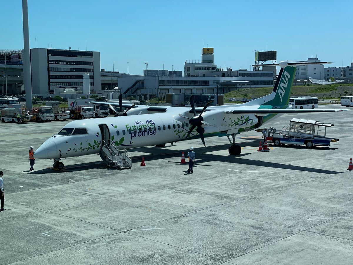 伊丹空港から大分空港ANA1687便搭乗記～大分県温泉と城巡りの旅② - 空マイラーから陸マイラーへ