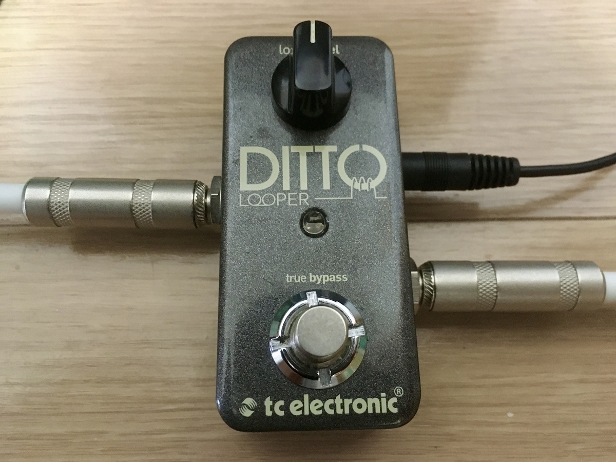 TC ELECTRONIC Ditto Looperの画像です