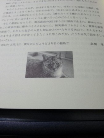 f:id:june_t:20140419084944j:image:w360