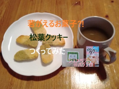f:id:juneberryrose:20211229193828j:plain