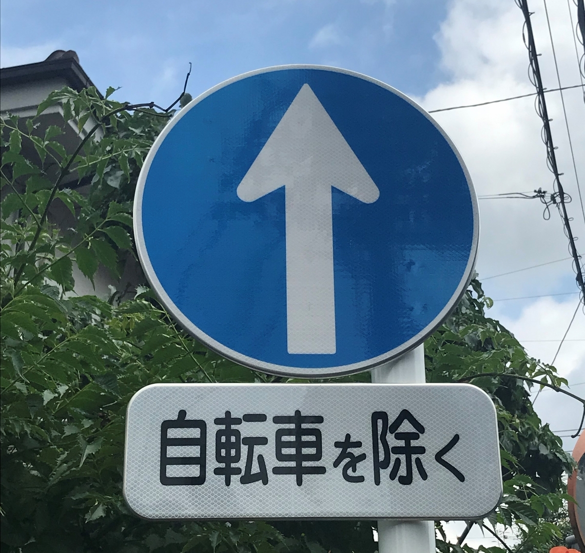 矢印 一方 通行 似た標識がある 正しい 一方通行の標識 と間違えた
