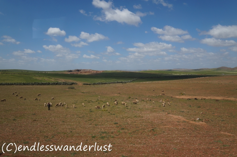 f:id:juneflyday:20170220011046j:plain