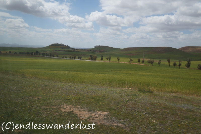 f:id:juneflyday:20170220011050j:plain