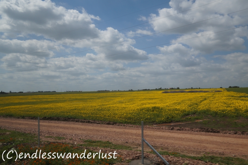 f:id:juneflyday:20170220011051j:plain