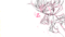 2009.10.02.08.08_2_BFRUC.png
