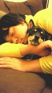 f:id:junfuruta:20100310232616j:image