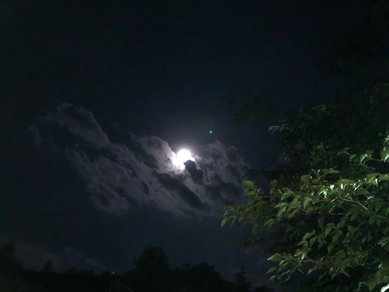 f:id:junfuruta:20180822194153j:image:w360 f:id:junfuruta:20180822194153j:image:w360