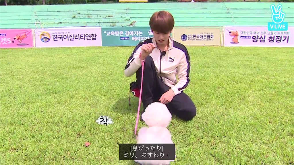 f:id:jungkookie:20171019113519p:image