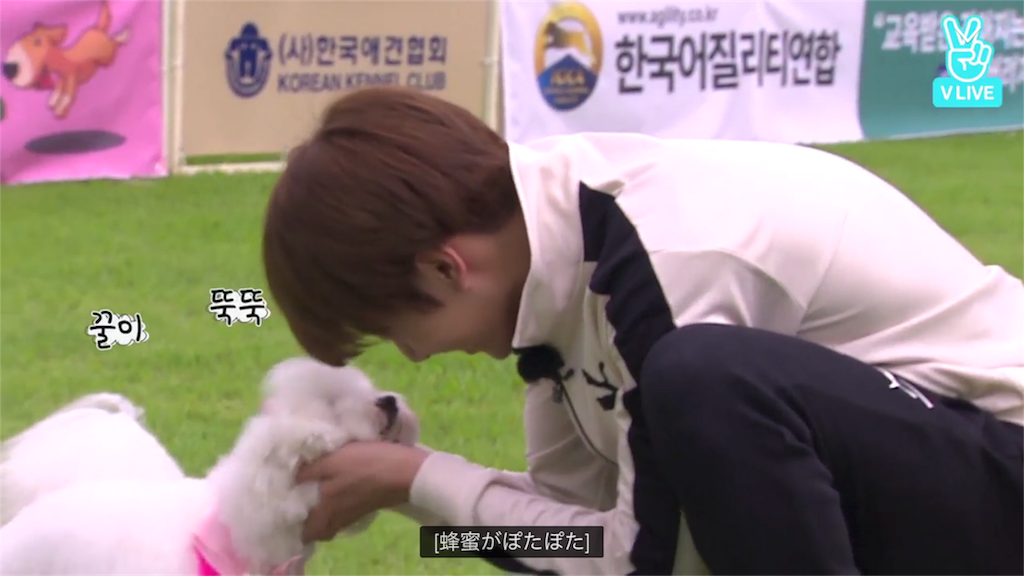 f:id:jungkookie:20171019113703p:image