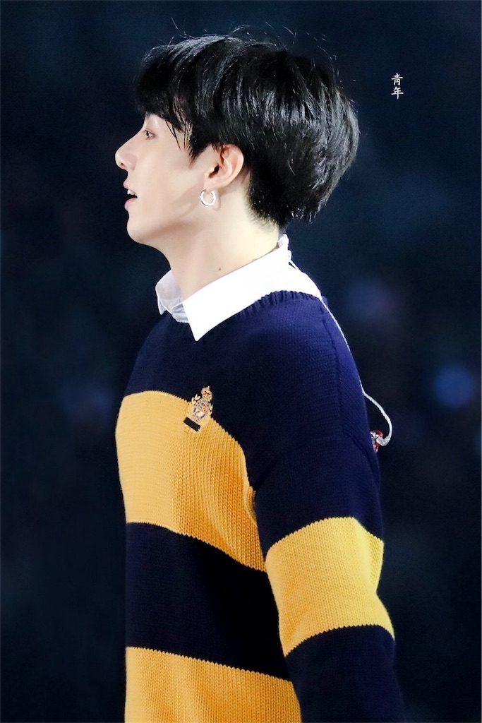 f:id:jungkookie:20190203210815j:image f:id:jungkookie:20190203210815j:image