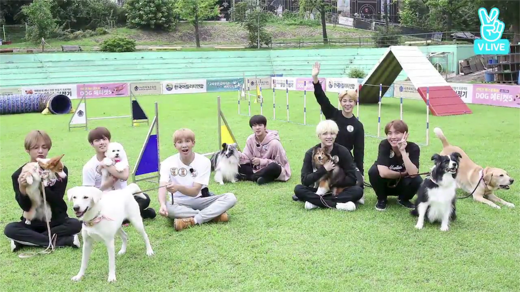 f:id:jungkookie:20210312211213p:image f:id:jungkookie:20210312211213p:image