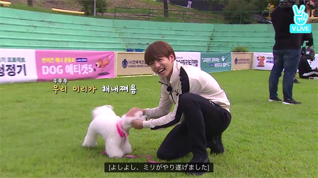 f:id:jungkookie:20210312211219p:image f:id:jungkookie:20210312211219p:image