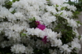 [金沢]