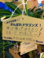 [ドラゴンズ]