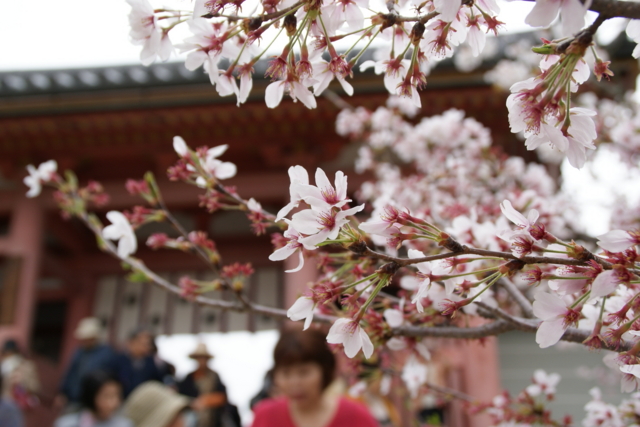 f:id:junichi13:20120416153639j:image:w450