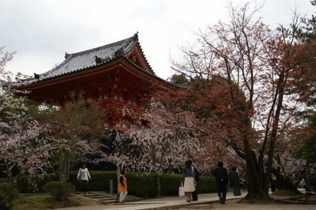 f:id:junichi13:20120416155524j:image:w450