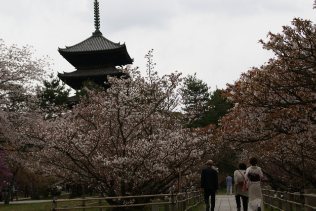 f:id:junichi13:20120416155843j:image:w450