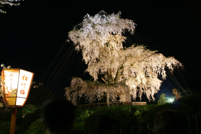 f:id:junichi13:20120416213506j:image:w450