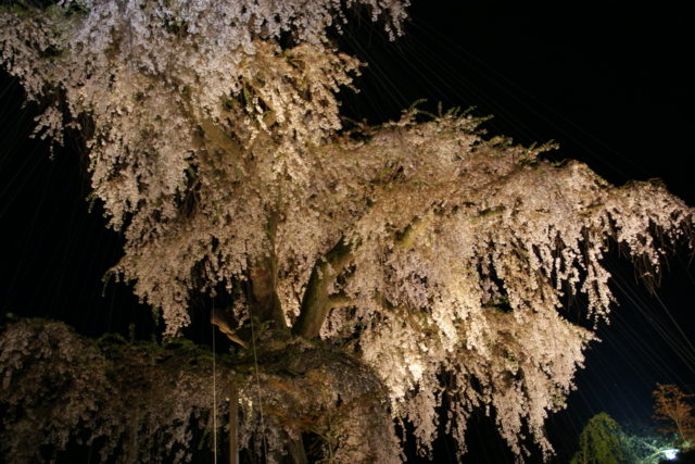 f:id:junichi13:20120416213521j:image:w450