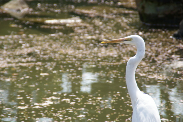 f:id:junichi13:20120417104628j:image:w450