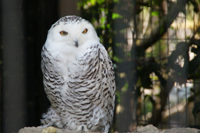 f:id:junichi13:20120417110624j:image:w450
