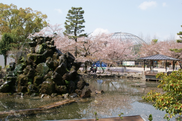 f:id:junichi13:20120417112846j:image:w450