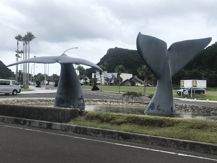 [0928][和歌山][くじら]