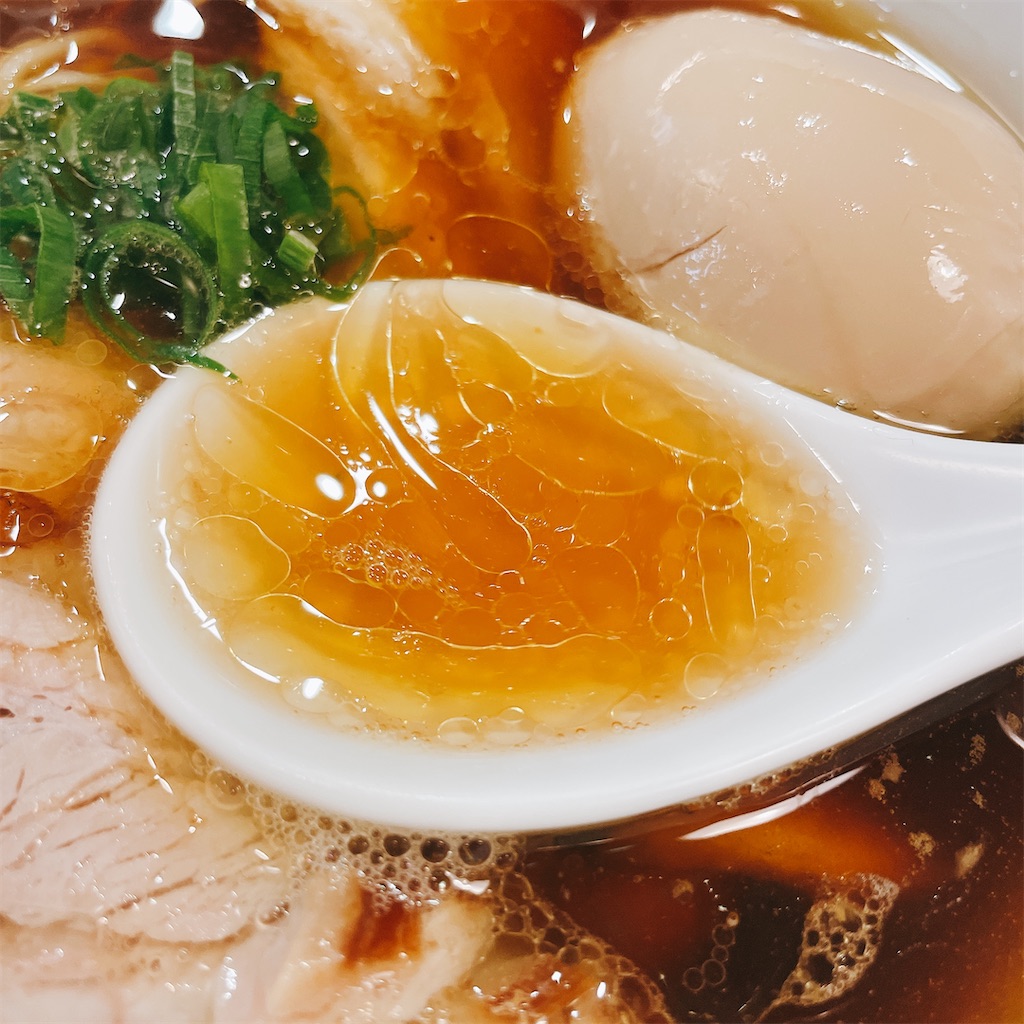 f:id:junichisuzaki:20210128221714j:image