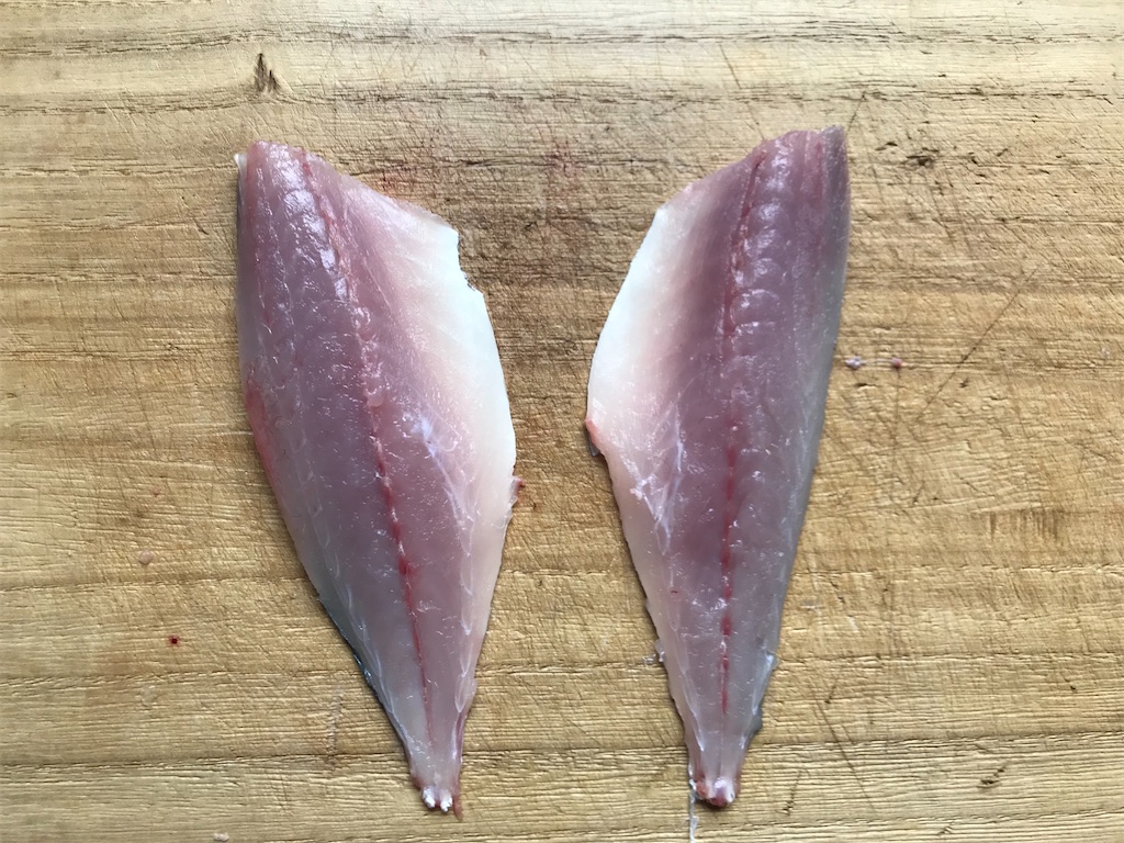 アジとソイのお刺身 楽しい釣りライフ 全都道府県で釣りをして陸っぱりから100種釣る アジとソイのお刺身 楽しい釣りライフ 全都道府県で釣りをして陸っぱりから100種釣る