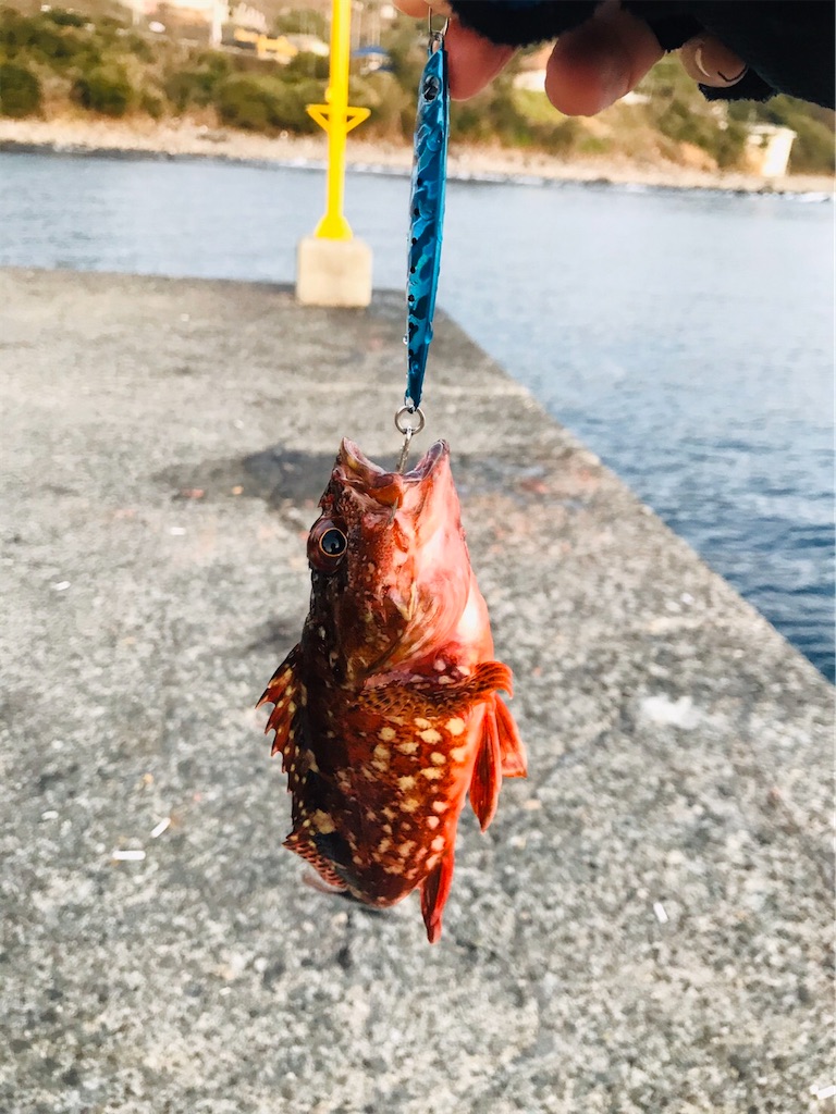 f:id:junismfishing:20200205223804j:image