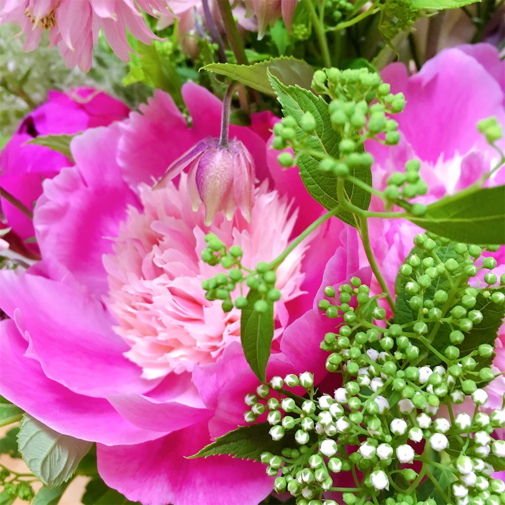 f:id:junisol:20200608235833j:image f:id:junisol:20200608235833j:image