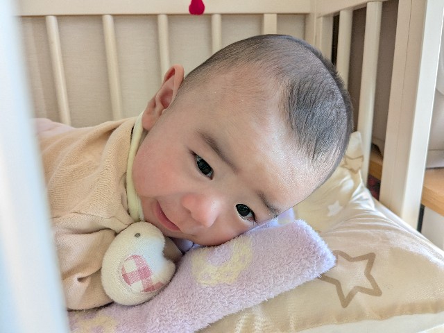 f:id:junjunpetea:20250317101009j:image