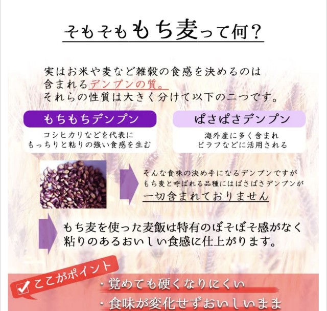 f:id:junjunpetea:20250416170723j:image