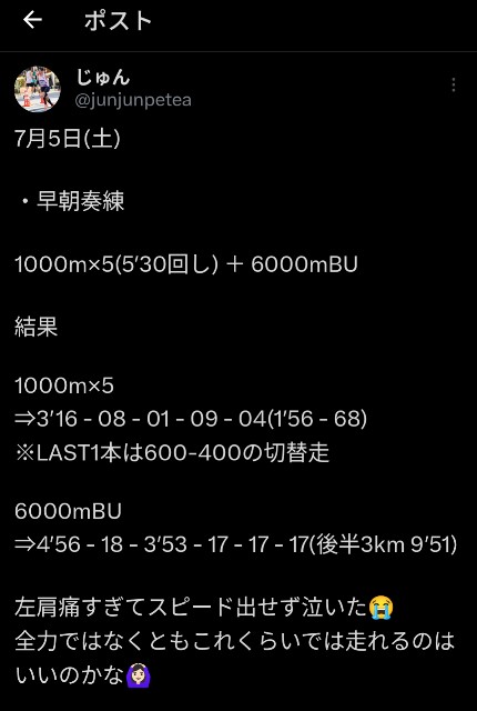 f:id:junjunpetea:20250802081859j:image
