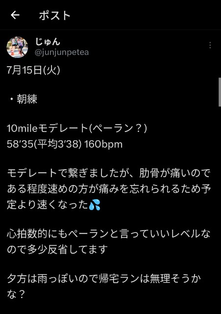 f:id:junjunpetea:20250802082813j:image